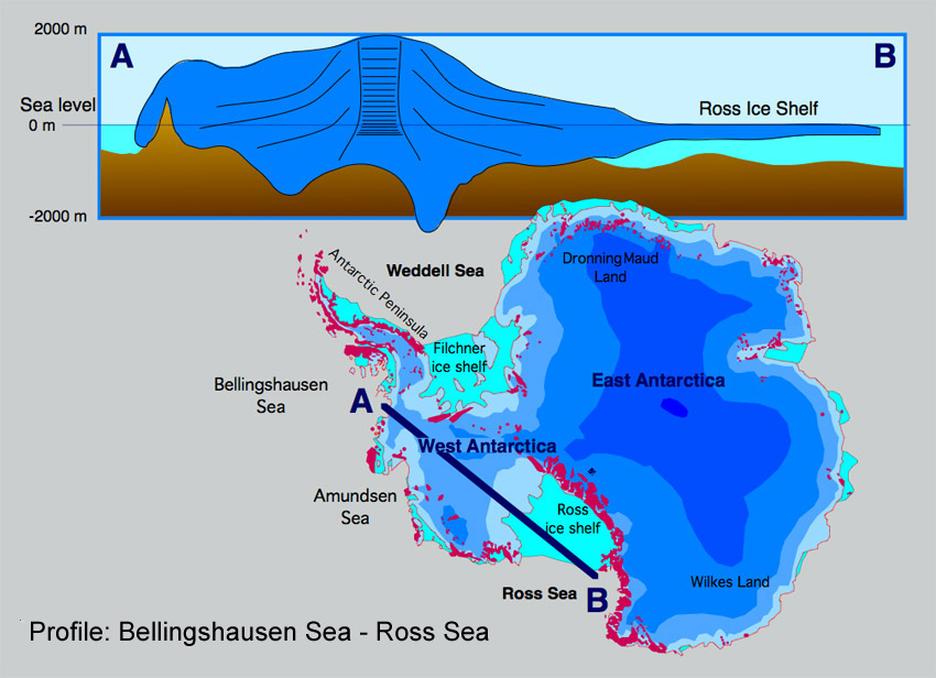 should antarctica be exploited essay